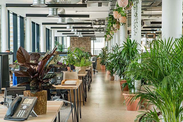 廣州裝修設(shè)計公司