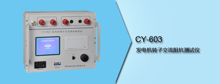CY-603 發(fā)電機轉子交流阻抗測試儀