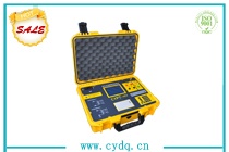 CYPT-103 電壓互感器現(xiàn)場校驗儀